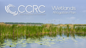 clarke county reservoir wetlands mitigation plan